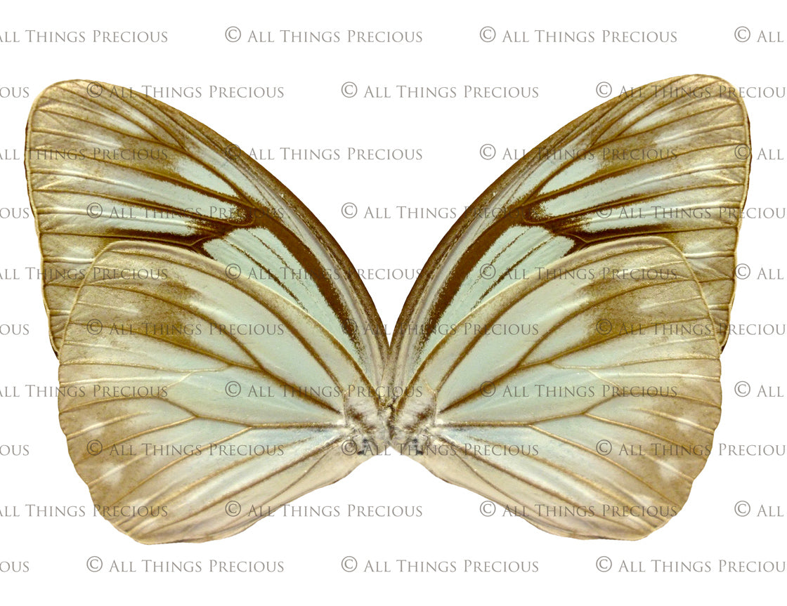 Digital Faery Wing Overlays. Png overlays for photoshop. Photography editing. High resolution, 300dpi fairy wings. Overlays for photography. Digital stock and resources. Graphic design. Fairy Photos. Colourful Fairy wings. Faerie Wings. ATP Textures. Overlays. Actions, Textures, Photo Resources, Photoshop.